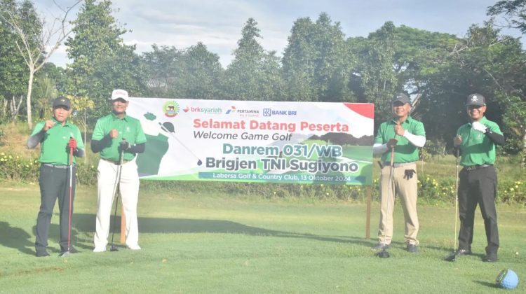 Welcome Game Golf Danrem 031/WB