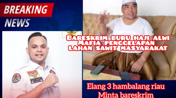 Elang 3 Hambalang Minta Polda Riau Tangkap Haji Alwi Diduga Terlibat Korupsi Rp 1 Triliun Dana Panen Sawit Masyarakat Senama Nenek