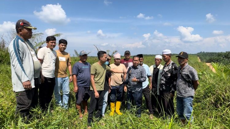 Konflik Lahan 220 Hektar Memanas, Idrus Rauf Tantang Perusahaan untuk Selesaikan Secara Hukum