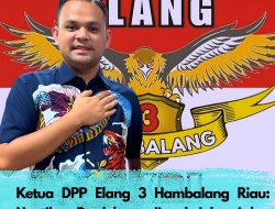 Ketua DPP Elang 3 Hambalang Riau: Hentikan Perdebatan Ijazah Jokowi dan Fokus pada Kemajuan Bangsa