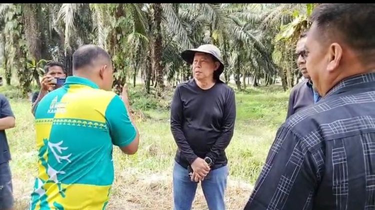 Ngaku Masih Punya Lahan, Eks Bos PT Ayau Diduga Coba Gertak Petani Pengelola Sah