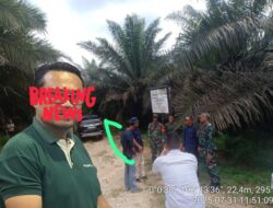 Pt Astra Sari Lembah Subur Diduga Menggelapkan Kawasan Hutan,Walaupun Presiden Bentuk Satgas Pkh?