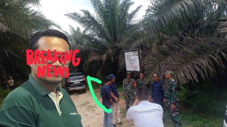 Pt Astra Sari Lembah Subur Diduga Menggelapkan Kawasan Hutan,Walaupun Presiden Bentuk Satgas Pkh?