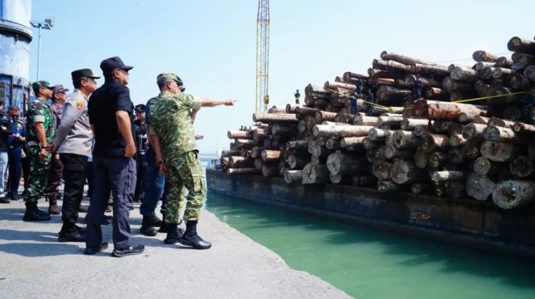Kasum TNI Tinjau Keberhasilan Satgas PKH Amankan Ribuan Kubik Kayu Ilegal