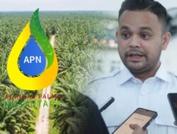 Presiden Diminta Bertindak! Pejabat Agrinas Diduga Jadi Pelindung Mafia KSO Sawit