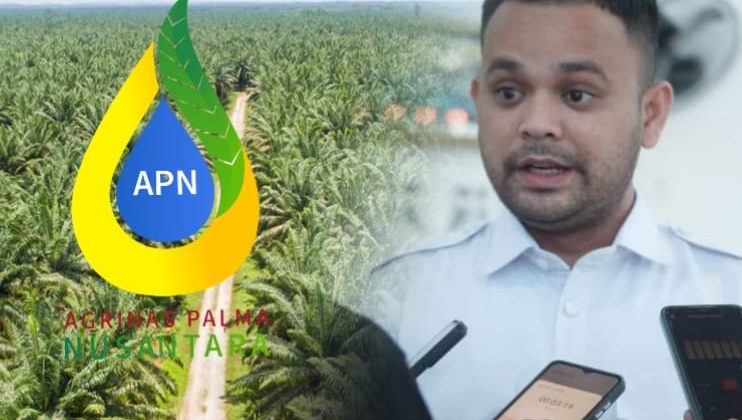 Presiden Diminta Bertindak! Pejabat Agrinas Diduga Jadi Pelindung Mafia KSO Sawit