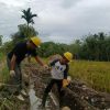 P3-TGAI 2026 Sasar 57 Titik di Deli Serdang: Upaya Kementerian PU Tingkatkan Kesejahteraan Petani