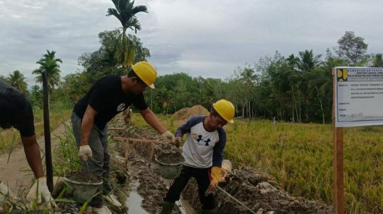 P3-TGAI 2026 Sasar 57 Titik di Deli Serdang: Upaya Kementerian PU Tingkatkan Kesejahteraan Petani